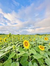 IMG_4276(1)