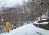 IMG_7145-1