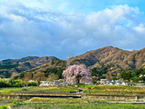 IMG_8091-1
