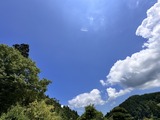 IMG_7951