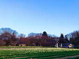 IMG_1910
