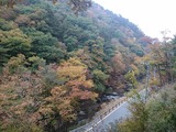 IMG_20151023_073005
