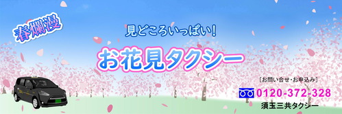 ohanamitaxi2023