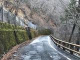 IMG_4544