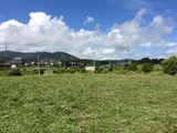 IMG_2227