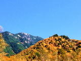 IMG_1431_1