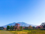 IMG_8029-1-1