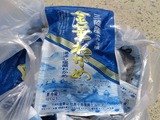 5月25日牡鹿半島_秋山031
