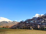 IMG_4102-1 (2)
