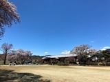 IMG_4247 (2)