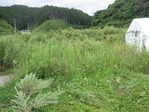 2500907 011