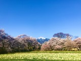 IMG_7907-2