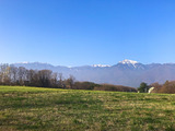 IMG_8066-1