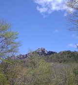 8726f762.jpg