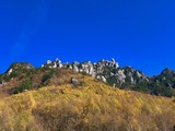 IMG_1329