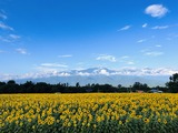 IMG_6151