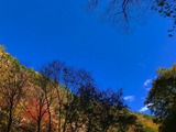 IMG_1269