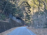 IMG_0783