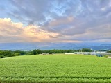 IMG_4176(1)