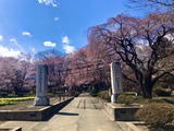 IMG_1941
