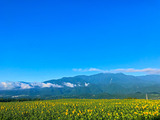 IMG_9972-2