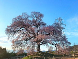 IMG_3645-1 (2)