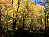 IMG_1526_1
