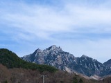 IMG_E2401