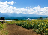 IMG_8747-1_1
