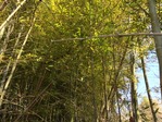 IMG_5658