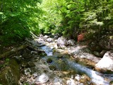 IMG_E3192