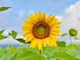 IMG_4220(1)
