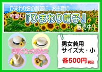 HimawariStraw hatt