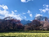 IMG_1933