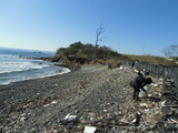 CIMG4146