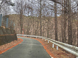 IMG_3952-1