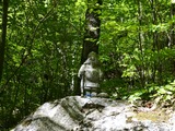 IMG_E2957