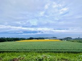 IMG_5035