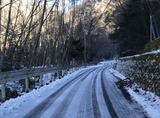 IMG_6539