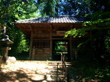 06