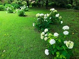 IMG_8084-1