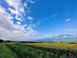 IMG_6145