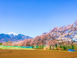 IMG_7934-1-1