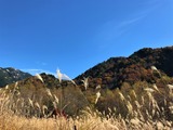 IMG_1325