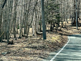 IMG_7163-EDIT