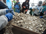 CIMG4530