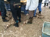 IMG_1826