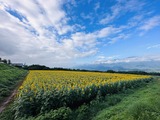 IMG_6106