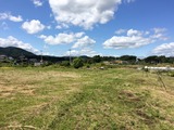 IMG_0929