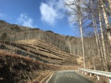IMG_1176